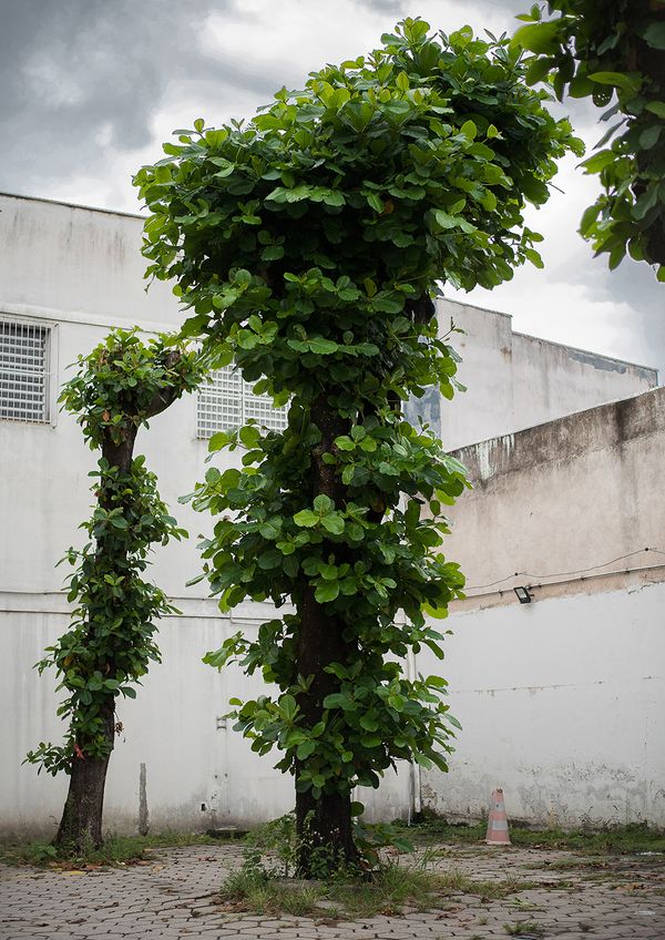 © Camila Falcão - Image from the The Man Does Not Exist photography project