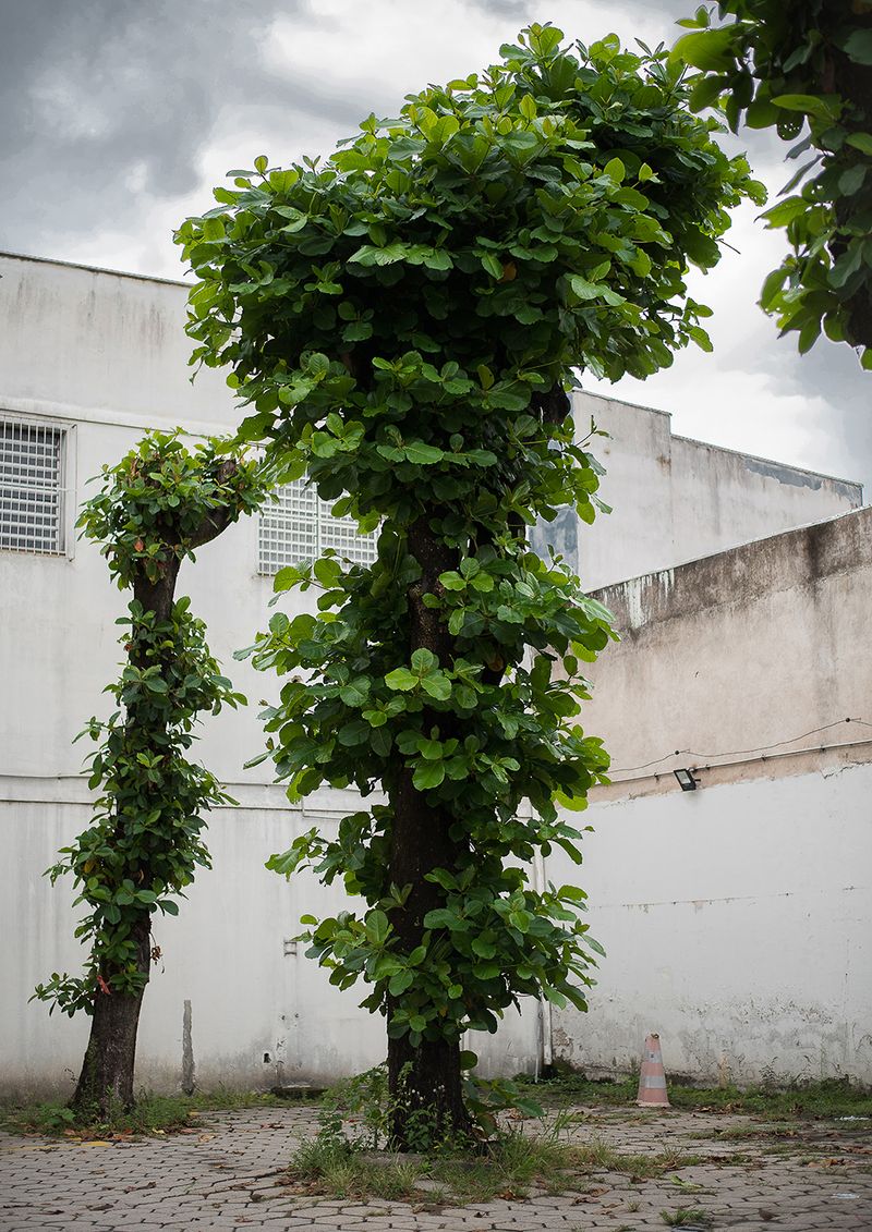 © Camila Falcão - Image from the The Man Does Not Exist photography project