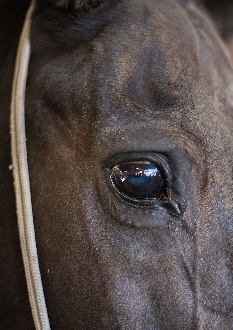 © Camila Falcão - Image from the The Man Does Not Exist photography project