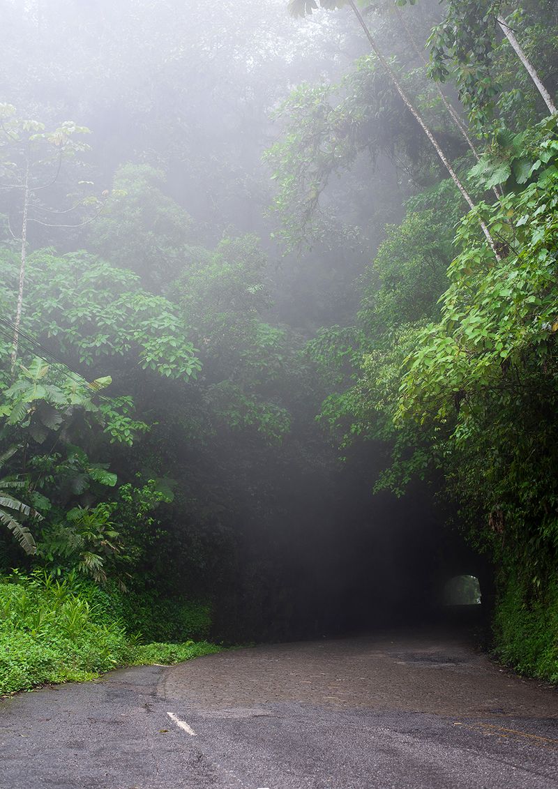 © Camila Falcão - Image from the The Man Does Not Exist photography project