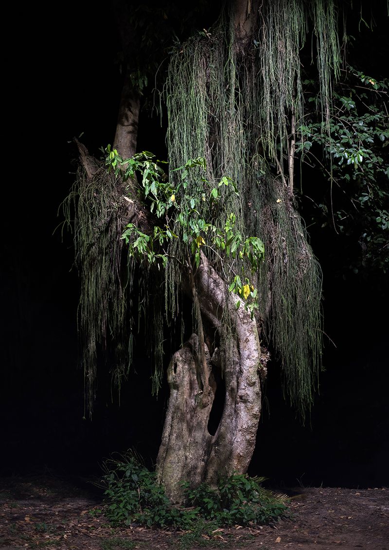 © Camila Falcão - Image from the The Man Does Not Exist photography project