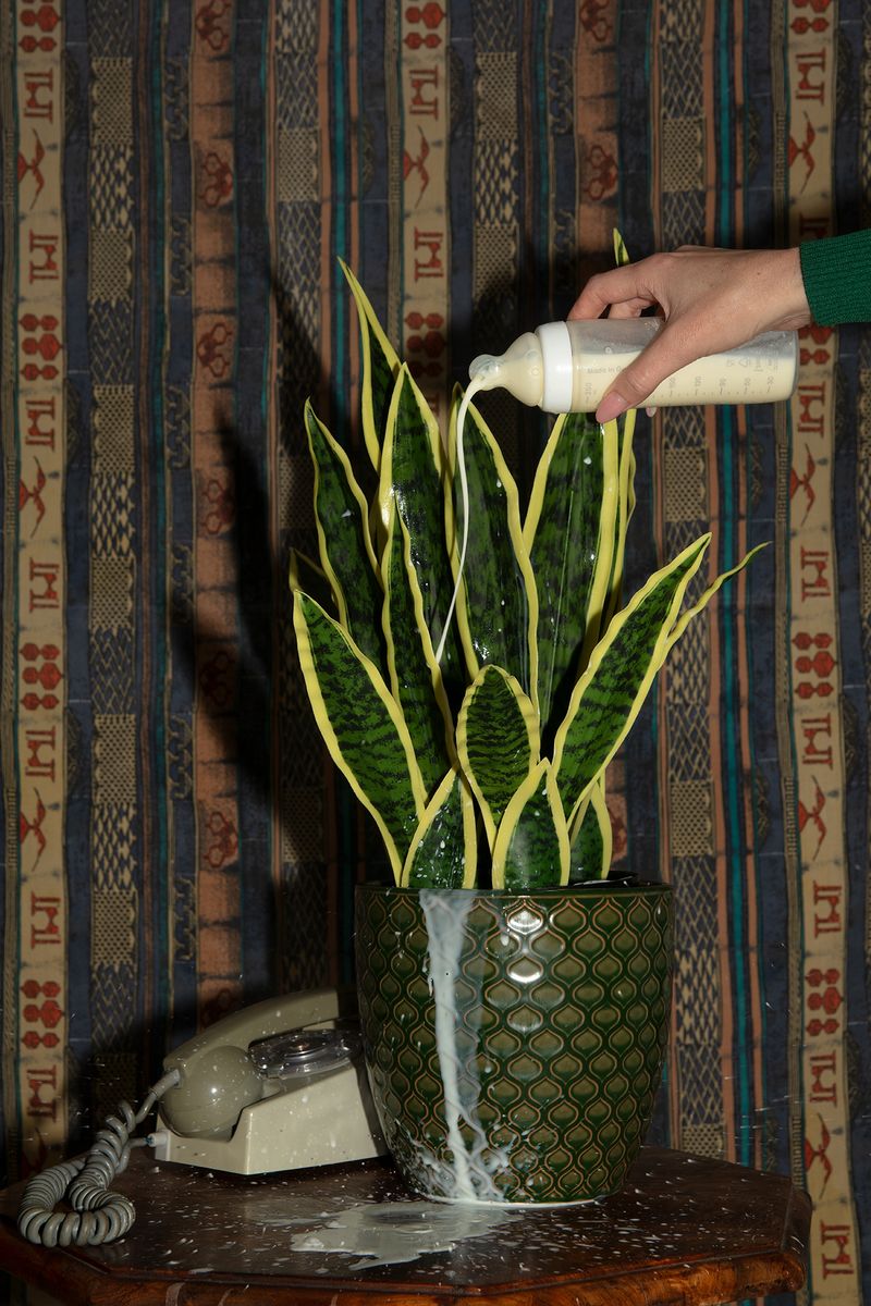 © Stefanie Langenhoven - Image from the I do not want to become my mother photography project