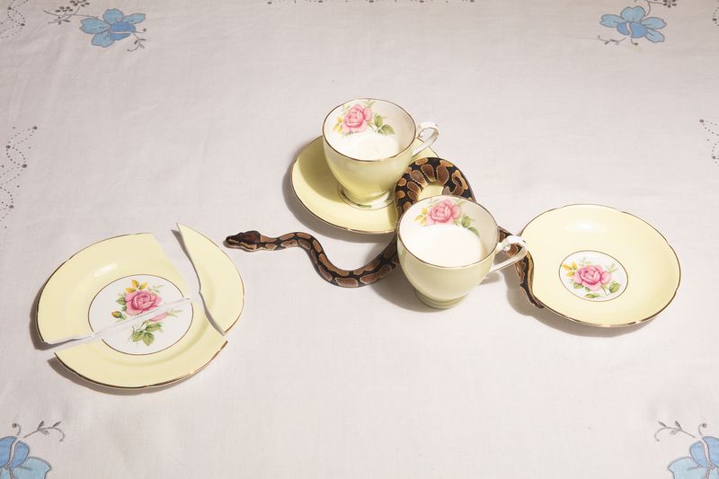 © Stefanie Langenhoven - Image from the The Extraordinary Beauty of Ginger Haired Girls photography project