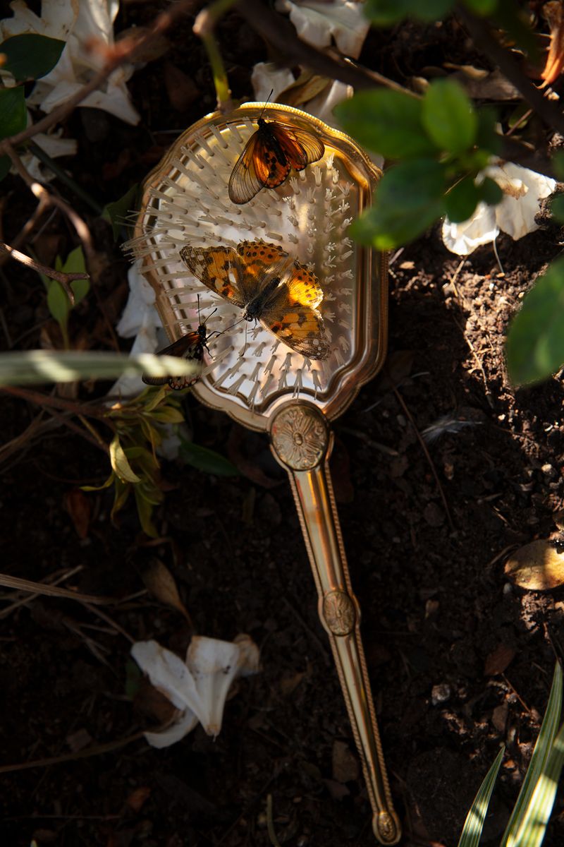 © Stefanie Langenhoven - Image from the The Extraordinary Beauty of Ginger Haired Girls photography project