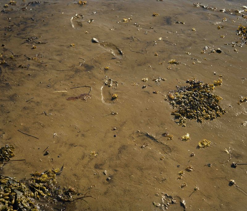 © riel Sturchio and Bianca Sturchio - Image from the Chasing Light photography project