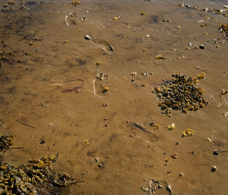 © riel Sturchio and Bianca Sturchio - Image from the Chasing Light photography project