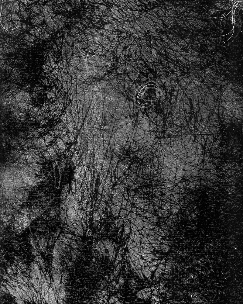 © riel Sturchio and Bianca Sturchio - Image from the skin prints photography project