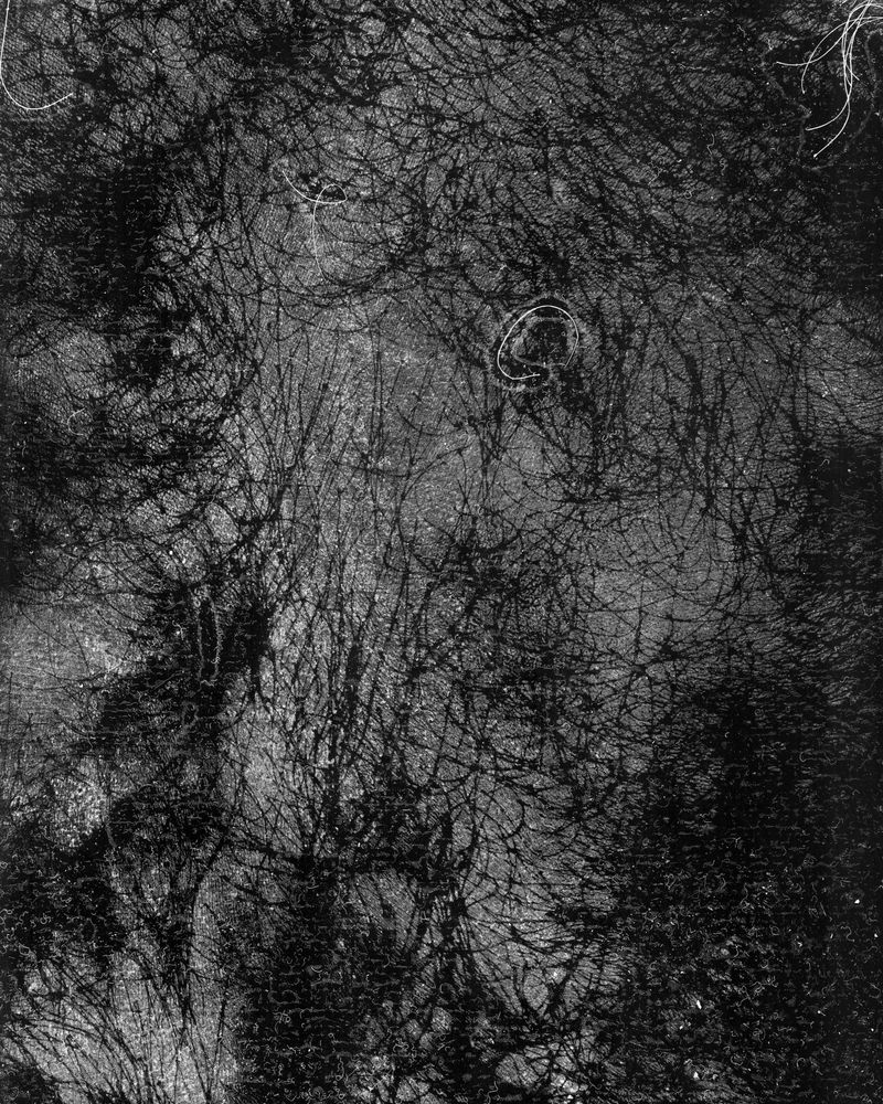 © riel Sturchio and Bianca Sturchio - Image from the skin prints photography project