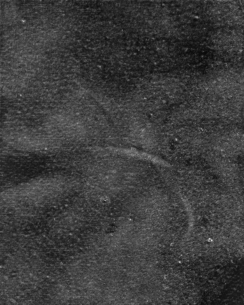 © riel Sturchio and Bianca Sturchio - Image from the skin prints photography project