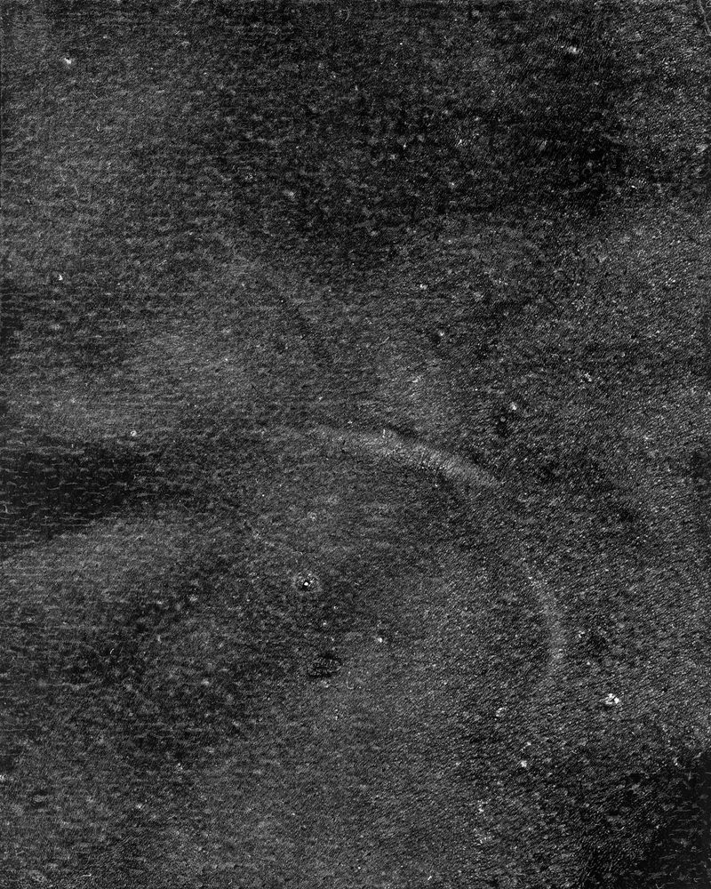 © riel Sturchio and Bianca Sturchio - Image from the skin prints photography project