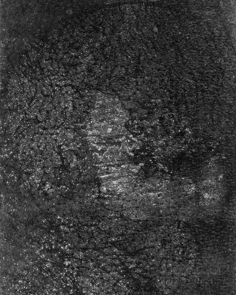 © riel Sturchio and Bianca Sturchio - Image from the skin prints photography project