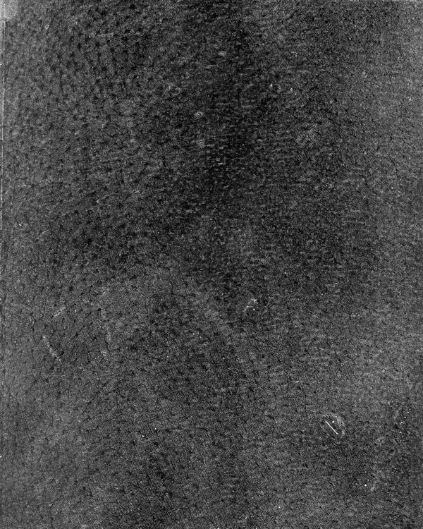 © riel Sturchio and Bianca Sturchio - Image from the skin prints photography project