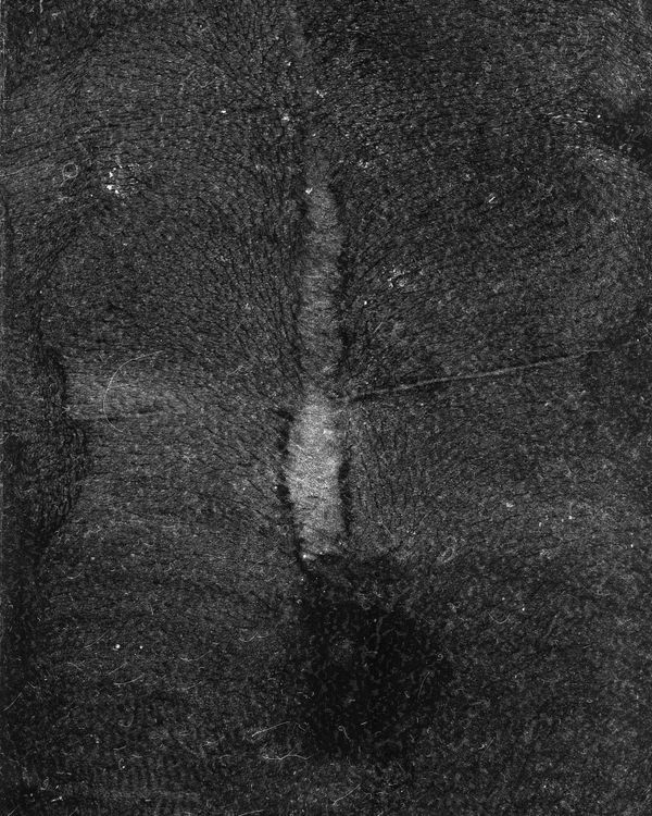 © riel Sturchio and Bianca Sturchio - Image from the skin prints photography project