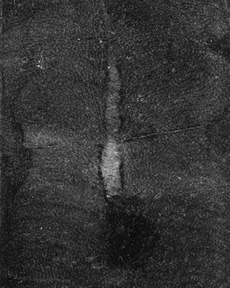 © riel Sturchio and Bianca Sturchio - Image from the skin prints photography project