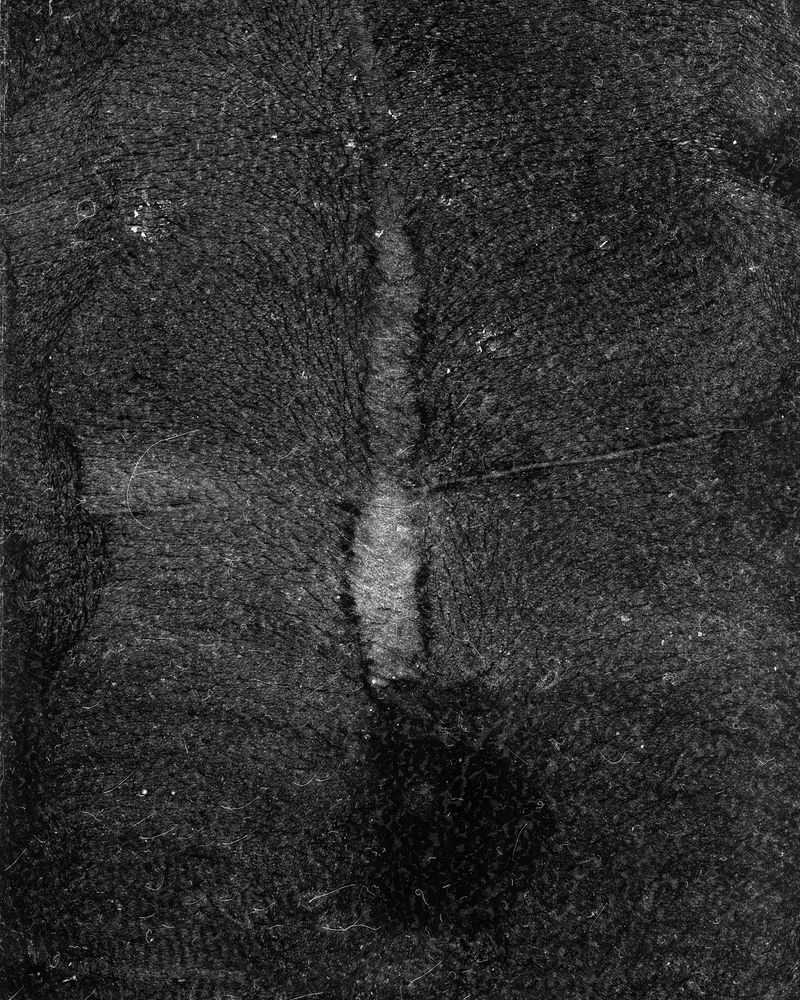 © riel Sturchio and Bianca Sturchio - Image from the skin prints photography project