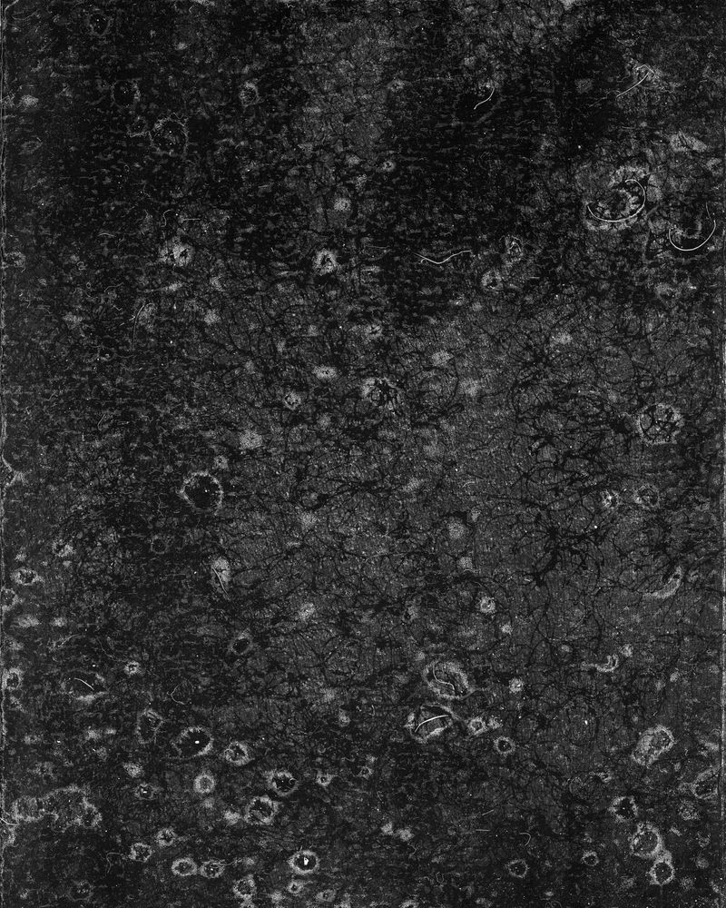 © riel Sturchio and Bianca Sturchio - Image from the skin prints photography project