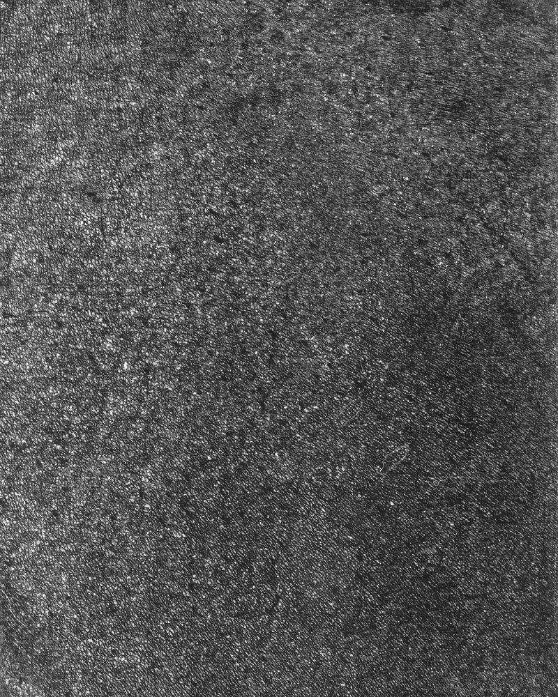 © riel Sturchio and Bianca Sturchio - Image from the skin prints photography project