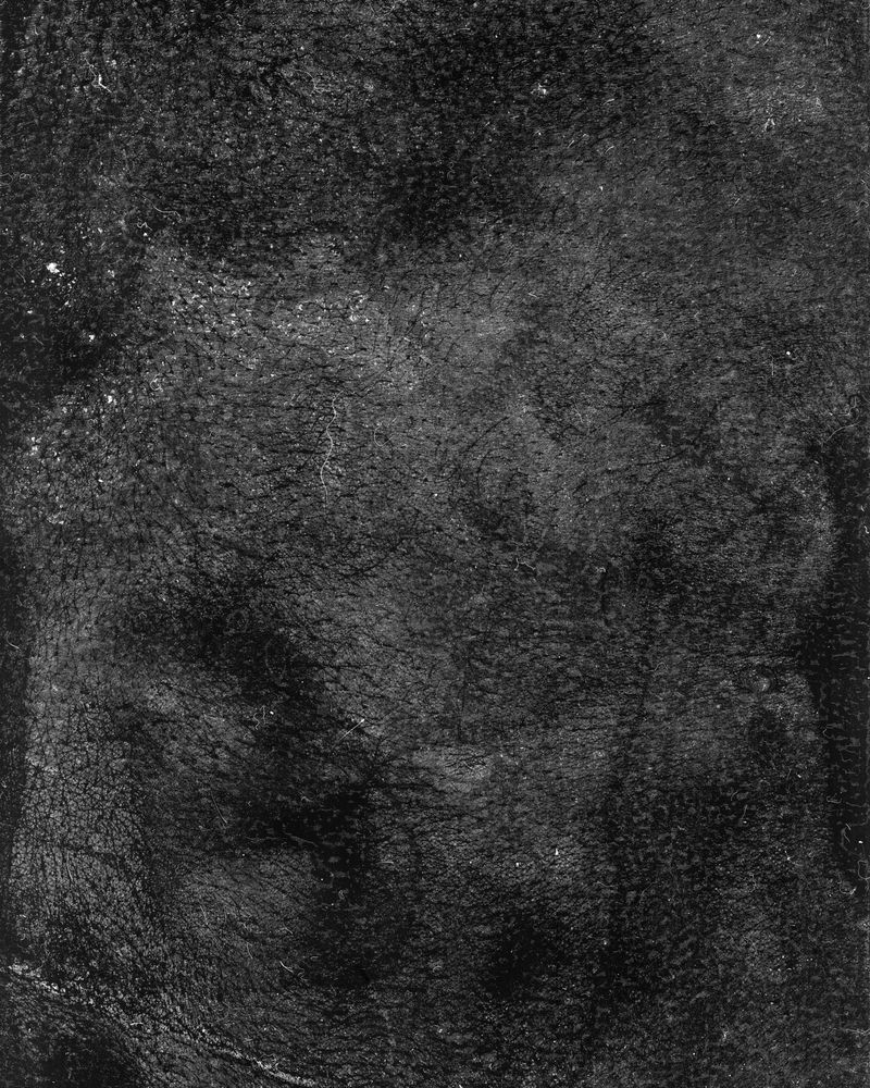 © riel Sturchio and Bianca Sturchio - Image from the skin prints photography project