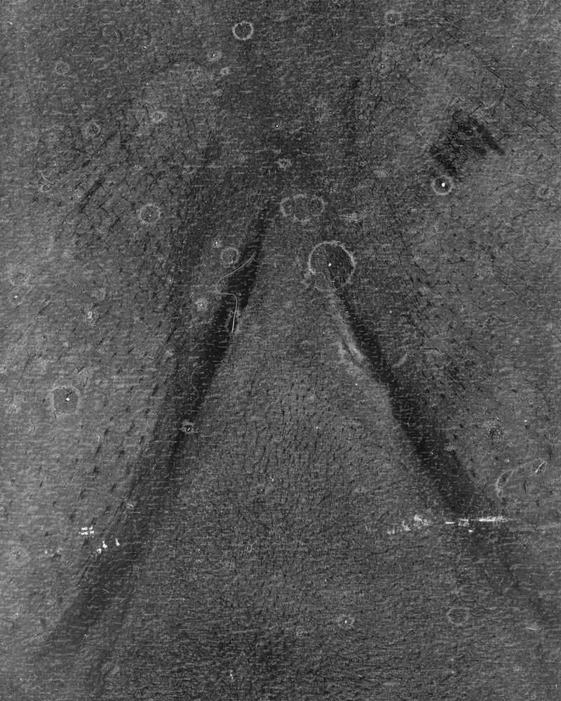 © riel Sturchio and Bianca Sturchio - Image from the skin prints photography project