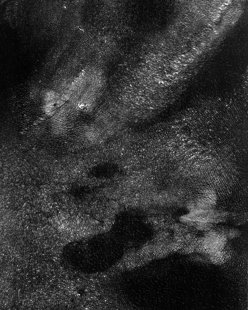 © riel Sturchio and Bianca Sturchio - Image from the skin prints photography project