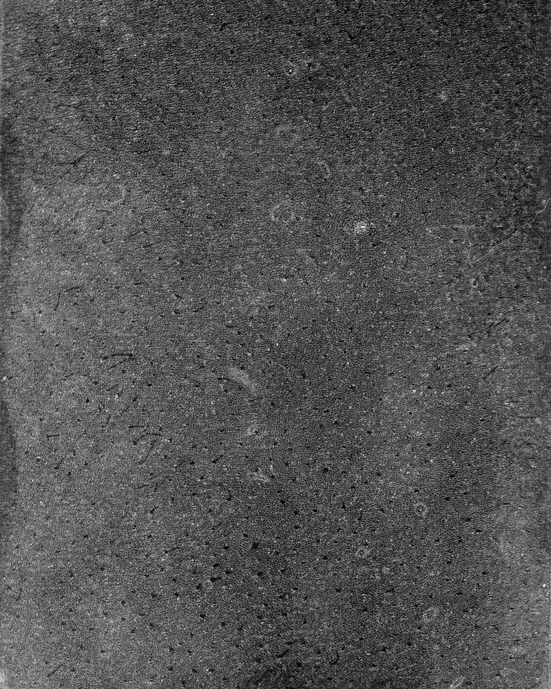 © riel Sturchio and Bianca Sturchio - Image from the skin prints photography project