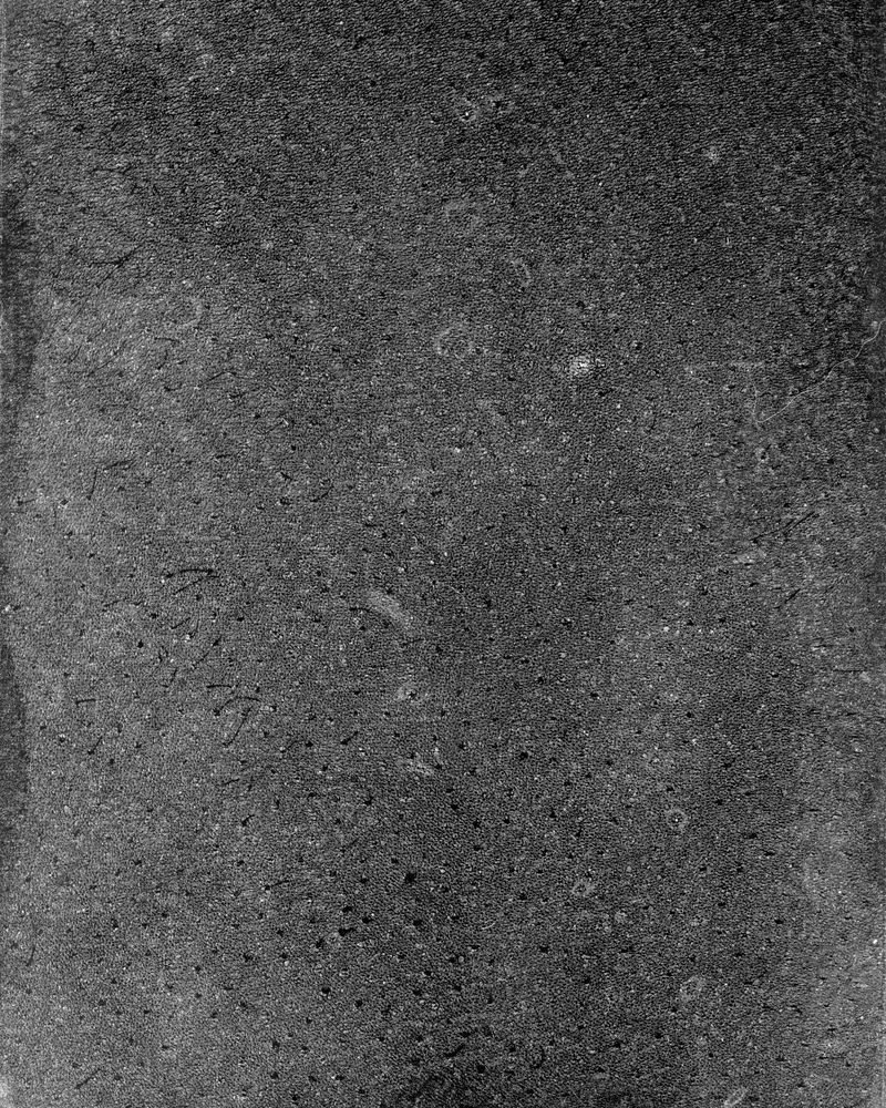 © riel Sturchio and Bianca Sturchio - Image from the skin prints photography project