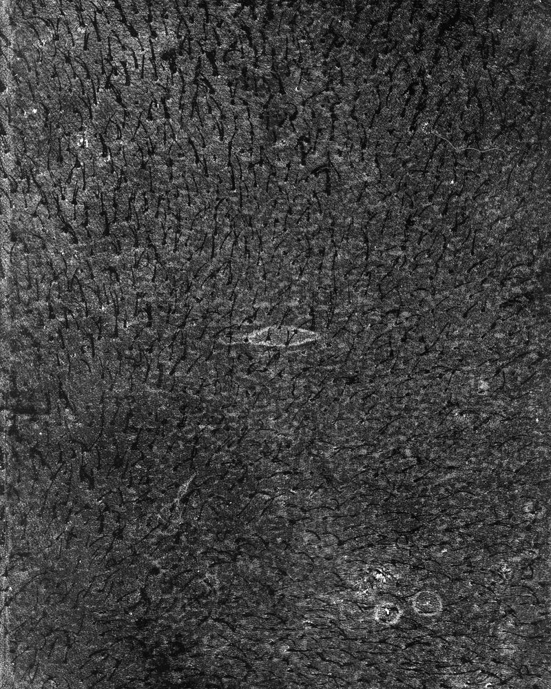 © riel Sturchio and Bianca Sturchio - Image from the skin prints photography project