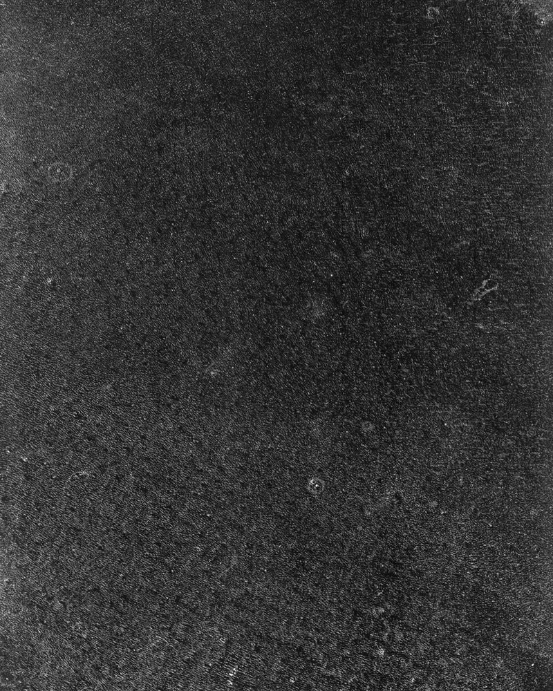 © riel Sturchio and Bianca Sturchio - Image from the skin prints photography project