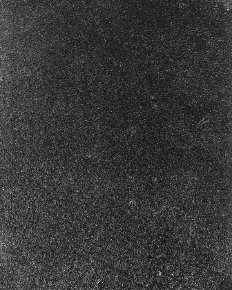 © riel Sturchio and Bianca Sturchio - Image from the skin prints photography project