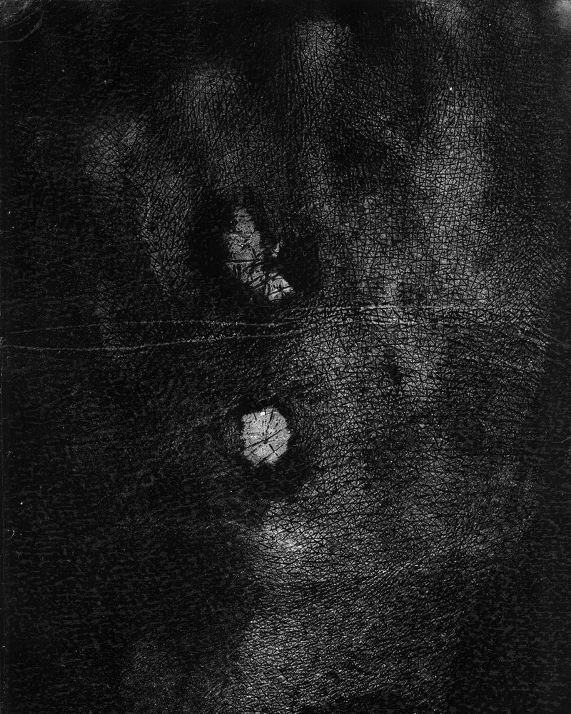 © riel Sturchio and Bianca Sturchio - Image from the skin prints photography project