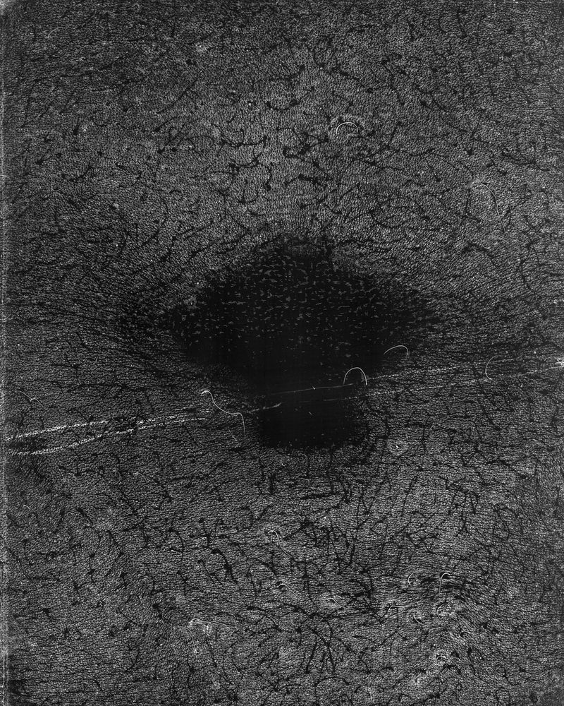 © riel Sturchio and Bianca Sturchio - Image from the skin prints photography project