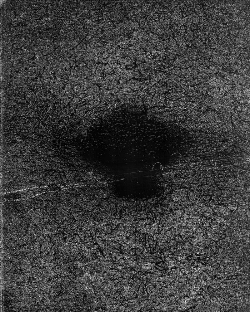 © riel Sturchio and Bianca Sturchio - Image from the skin prints photography project