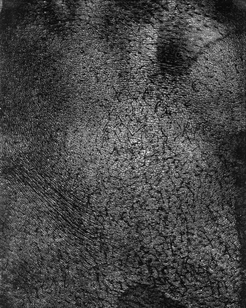 © riel Sturchio and Bianca Sturchio - Image from the skin prints photography project