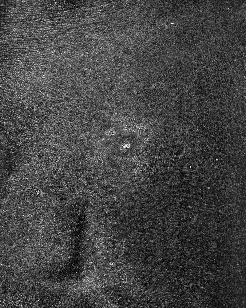 © riel Sturchio and Bianca Sturchio - Image from the skin prints photography project