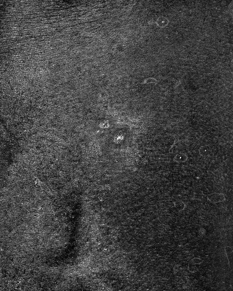 © riel Sturchio and Bianca Sturchio - Image from the skin prints photography project