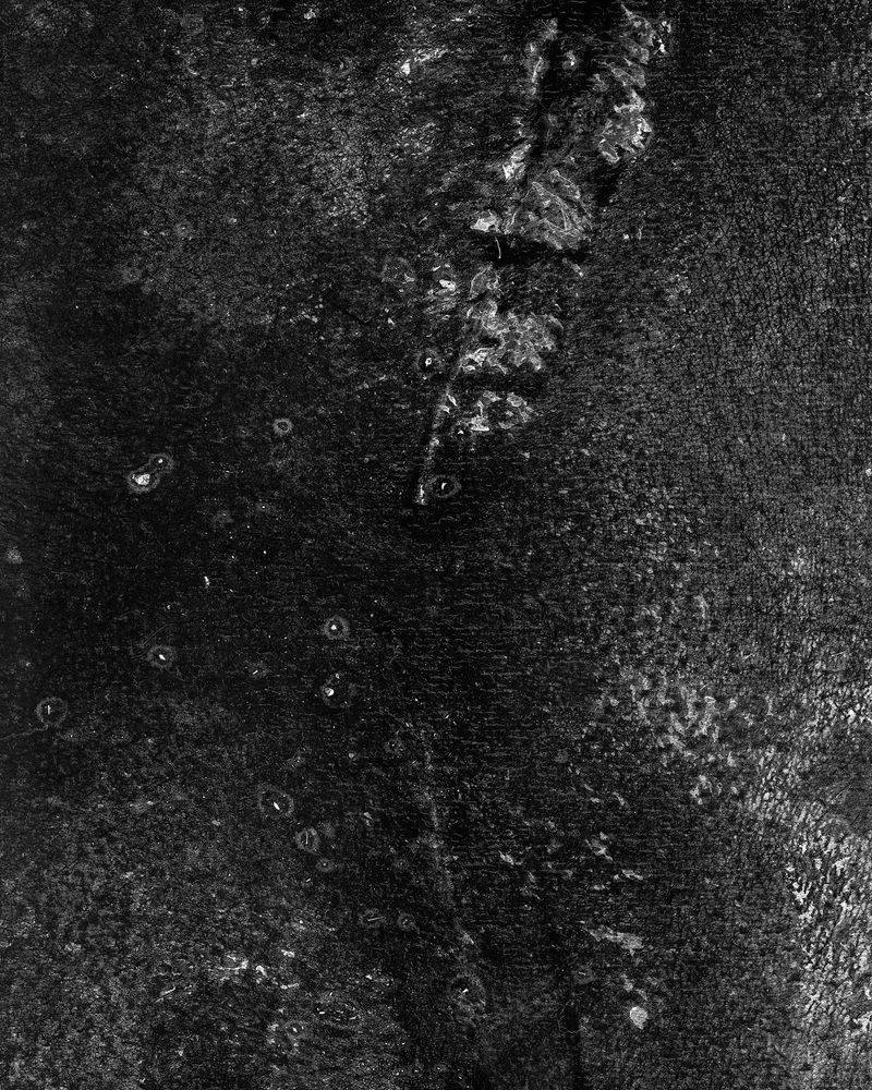 © riel Sturchio and Bianca Sturchio - Image from the skin prints photography project