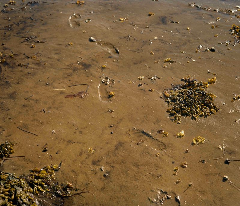 © riel Sturchio and Bianca Sturchio - Image from the Chasing Light photography project