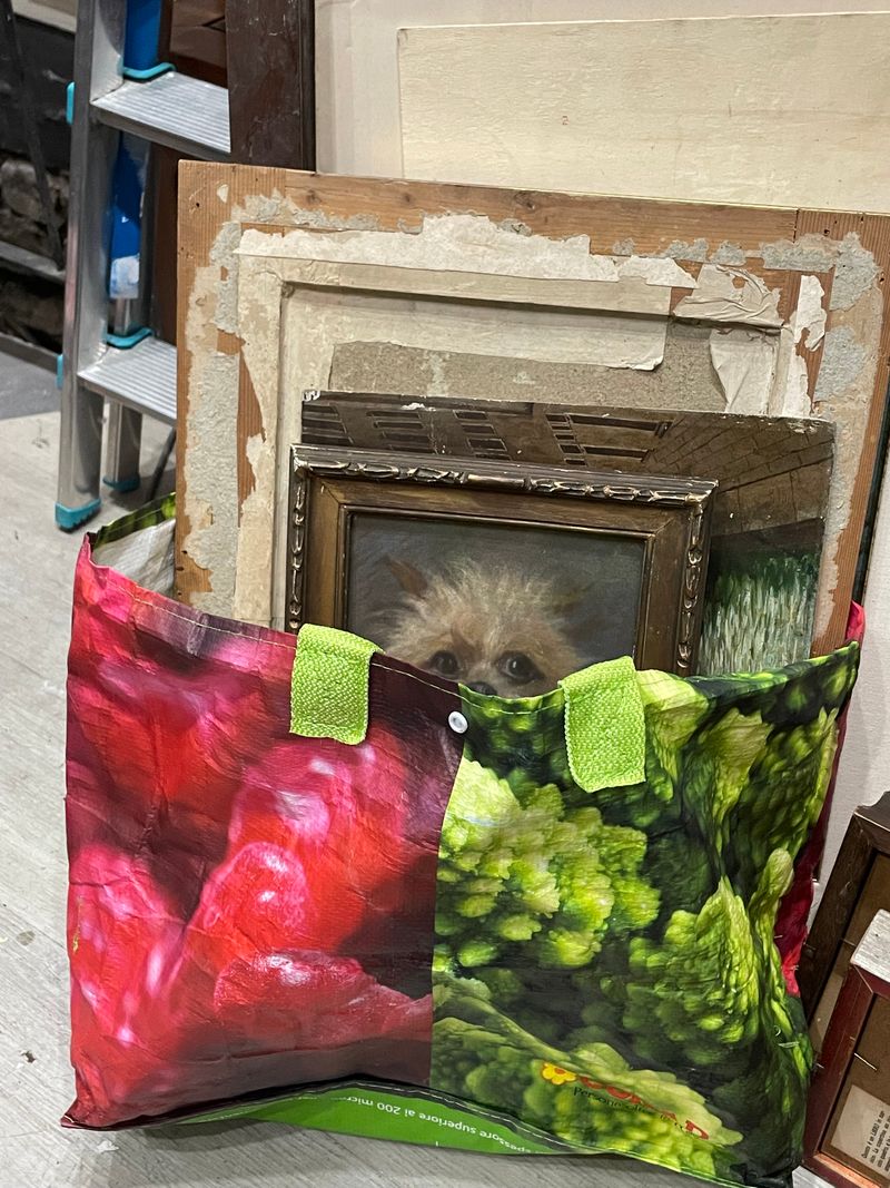 © Jiashu Chen - Image from the i 12 Purple photography project