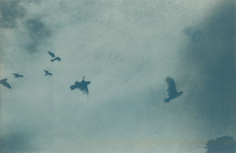© Nat Collins - Image from the Australian Dream photography project