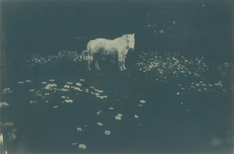 © Nat Collins - Image from the Australian Dream photography project