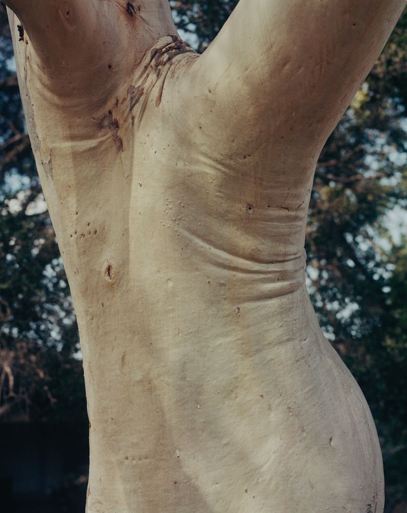 © Andras Ladocsi - Image from the There is a big river, in which there is a big island, in which there is a lake, in which there is an island, in which there is a small house, where a life is growing in a womb photography project