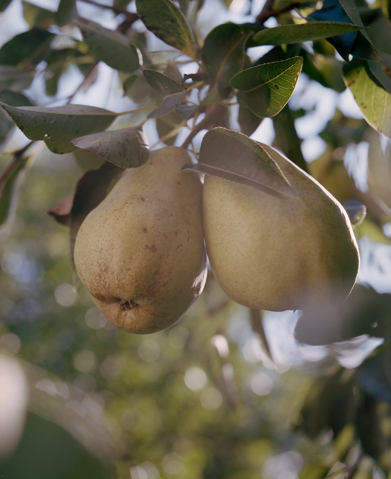 © Andras Ladocsi - Image from the There is a big river, in which there is a big island, in which there is a lake, in which there is an island, in which there is a small house, where a life is growing in a womb photography project