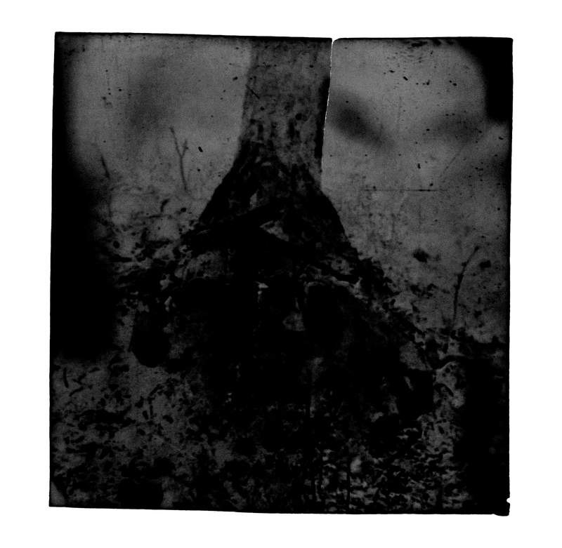 © Eli Apezteguia - Image from the the absence photography project