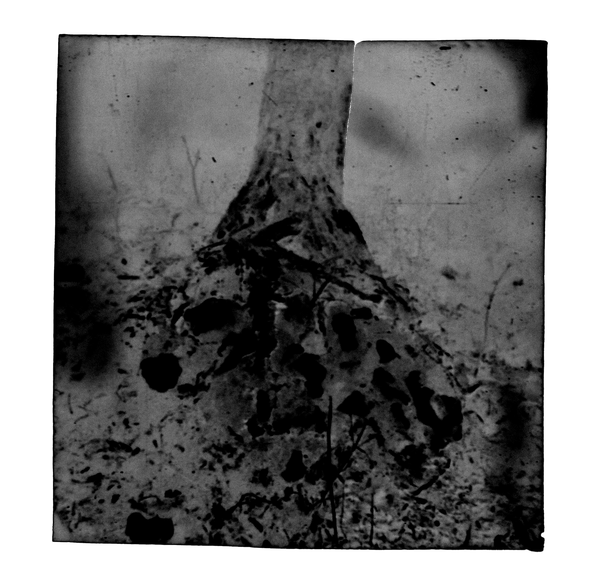 © Eli Apezteguia - Image from the the absence photography project