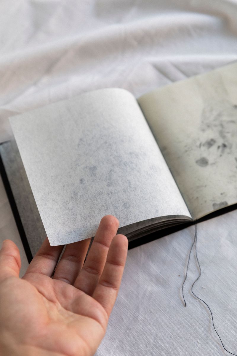 © Eli Apezteguia - Image from the the absence photography project