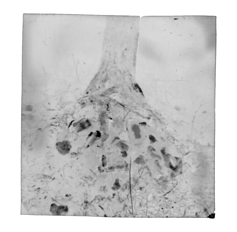 © Eli Apezteguia - Image from the the absence photography project