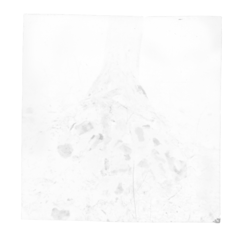 © Eli Apezteguia - Image from the the absence photography project