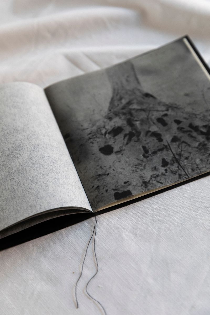 © Eli Apezteguia - Image from the the absence photography project