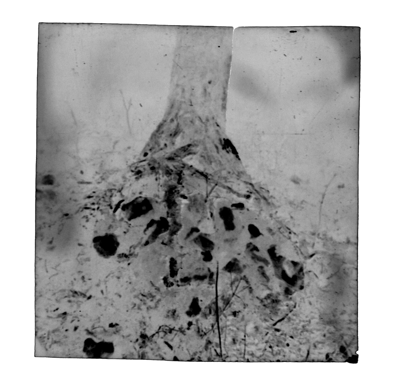 © Eli Apezteguia - Image from the the absence photography project