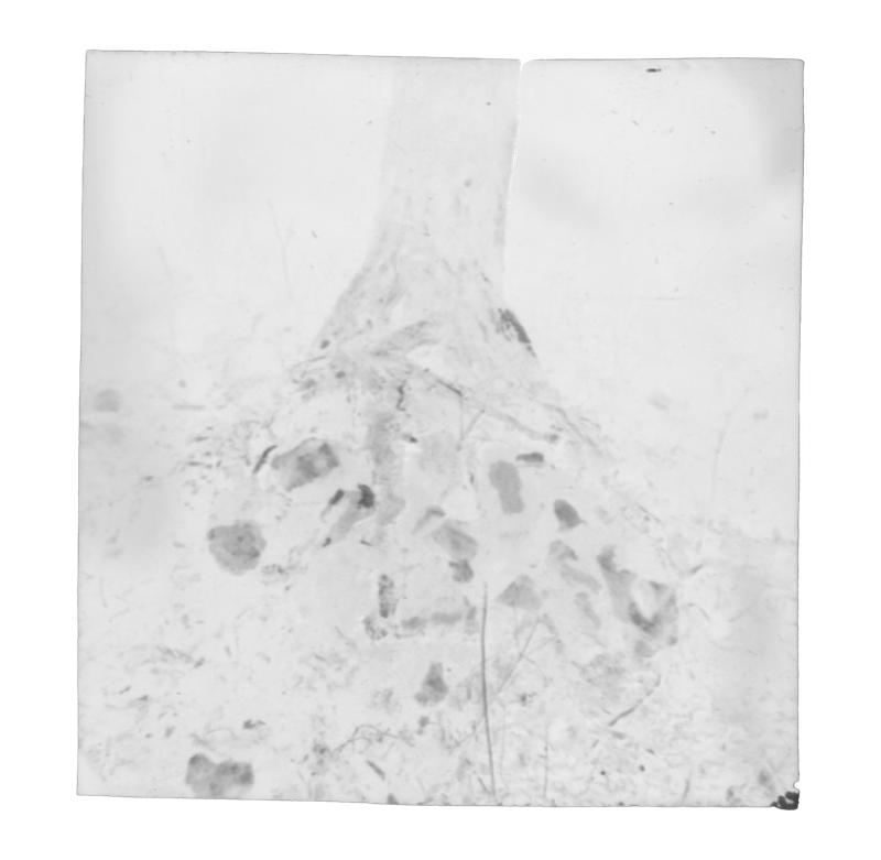 © Eli Apezteguia - Image from the the absence photography project